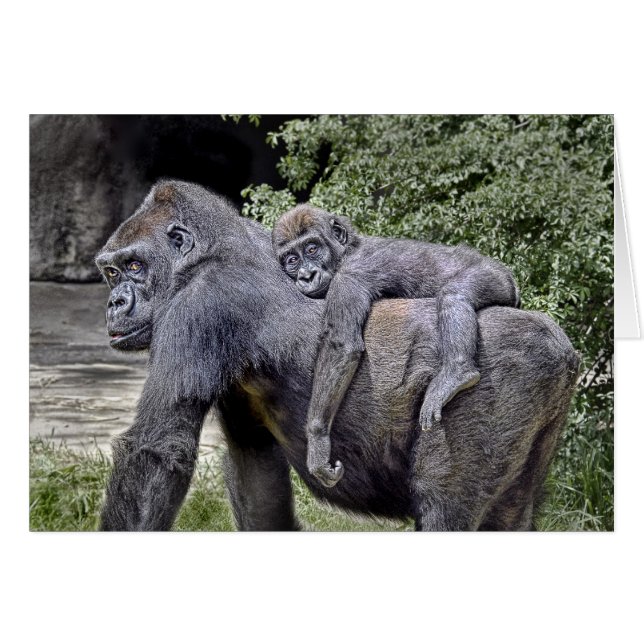 Gorilla-"Doppelpol" Mamma und Baby #2 (Vorderseite (Horizontal))