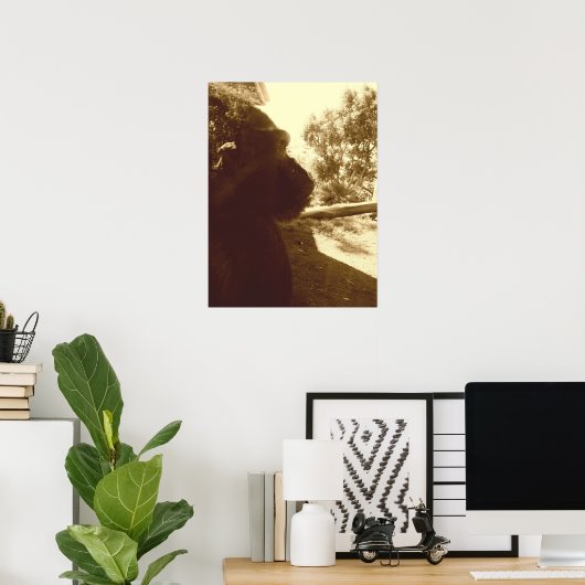 Gorilla Dreams Poster (Heimbüro)