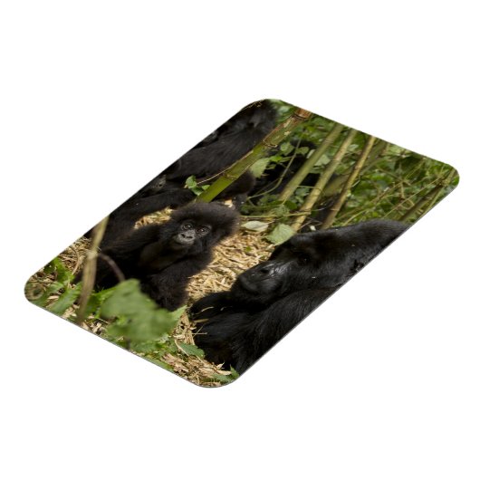 Gorilla, erwachsen mit jung magnet (Linke Seite)
