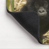 Gorilla, erwachsen mit jung mousepad (Ecke)