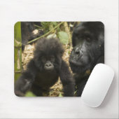 Gorilla, erwachsen mit jung mousepad (Mit Mouse)