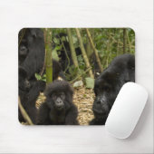 Gorilla, erwachsen mit jung mousepad (Mit Mouse)