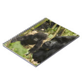 Gorilla, erwachsen mit jung notizblock (Linke Seite)