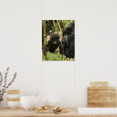 Gorilla, erwachsen mit jung poster (Küche)