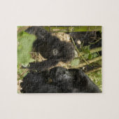 Gorilla, erwachsen mit jung puzzle (Horizontal)