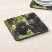 Gorilla, erwachsen mit jung untersetzer (Linke Seite)