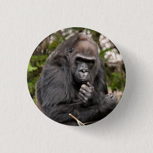 Gorilla F 8672 Button (Vorderseite)