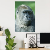 Gorilla Face Poster (Heimbüro)