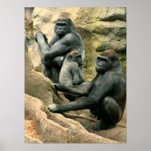 Gorilla-Familien-Plakat Poster