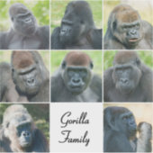Gorilla Family Aufkleber (Vorderseite)