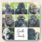 Gorilla Family Getränkeuntersetzer (Vorderseite)