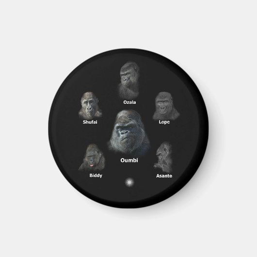 Gorilla Family Magnet (Vorne)