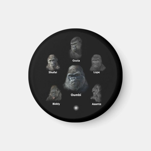Gorilla Family Magnet (Vorne)