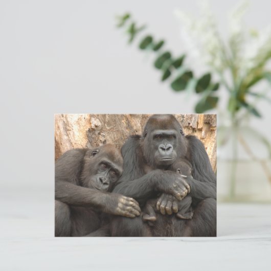 Gorilla Family Postkarte (Stehend Vorderseite)