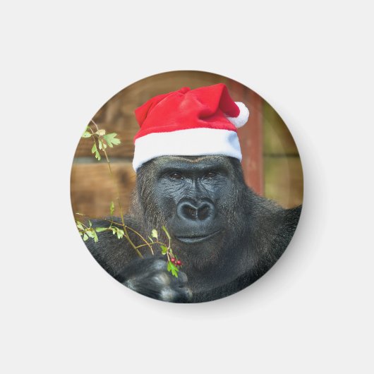 Gorilla Festive Cheer entfesselt Magnet (Vorne)