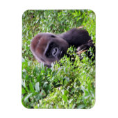 Gorilla Flexible Magnet (Vertikal)