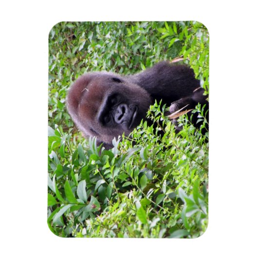 Gorilla Flexible Magnet (Vertikal)