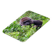 Gorilla Flexible Magnet (Linke Seite)