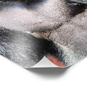 GORILLA FOTODRUCK (Ecke)