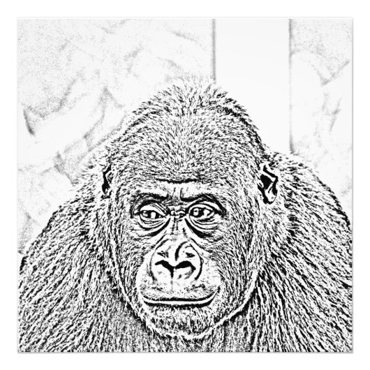 Gorilla Fotodruck (Vorne)