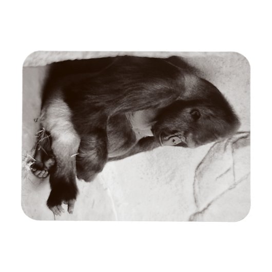 Gorilla Fotografy Sleeping Magnet (Horizontal)