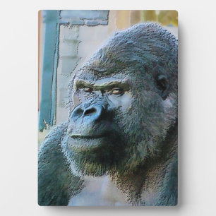 GORILLA FOTOPLATTE
