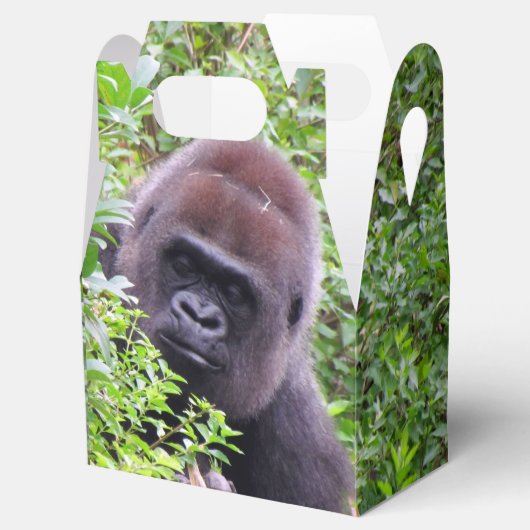 Gorilla Gastgeschenk Box Geschenkschachtel (Geöffnet)