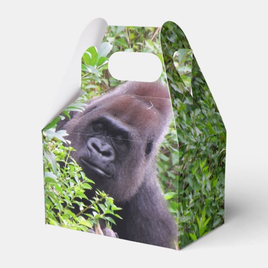 Gorilla Gastgeschenk Box Geschenkschachtel (Vorderseite)