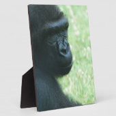 Gorilla Gaze Plaque Fotoplatte (Seite)