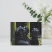 Gorilla-Gebet-Postkarte Postkarte (Stehend Vorderseite)