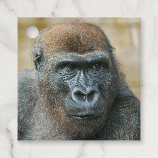Gorilla Geschenkanhänger (Vorderseite)