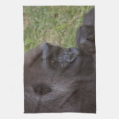 Gorilla Geschirrtuch (Vertikal)