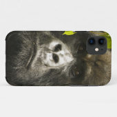 Gorilla, Gorilla beringei beringei, Case-Mate iPhone Hülle (Rückseite (Horizontal))