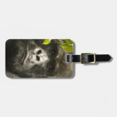 Gorilla, Gorilla beringei beringei, Gepäckanhänger (Vorderseite horizontal)