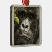 Gorilla, Gorilla beringei beringei, Ornament Aus Metall (Rechts)