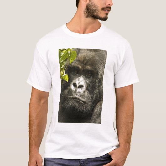 Gorilla, Gorilla beringei beringei, T-Shirt (Vorderseite)