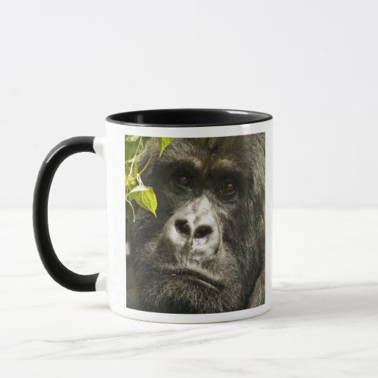Gorilla, Gorilla beringei beringei, Tasse (Links)