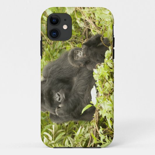 Gorilla, Gorilla beringei (ehemals G. Case-Mate iPhone Hülle (Rückseite)