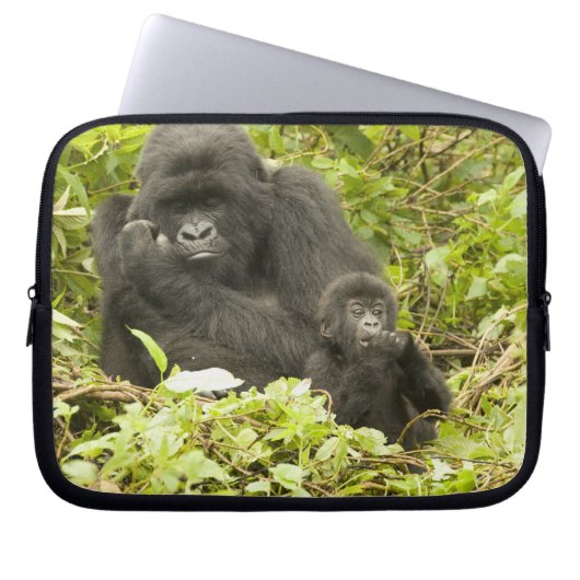 Gorilla, Gorilla beringei (ehemals G. Laptopschutzhülle (Vorderseite)