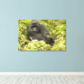 Gorilla, Gorilla beringei (ehemals G. Leinwanddruck (Insitu (Holzboden))