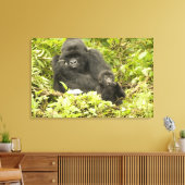 Gorilla, Gorilla beringei (ehemals G. Leinwanddruck (Insitu (Wohnzimmer))