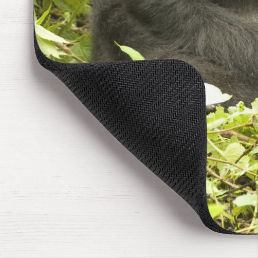 Gorilla, Gorilla beringei (ehemals G. Mousepad (Ecke)