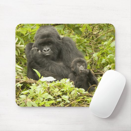 Gorilla, Gorilla beringei (ehemals G. Mousepad (Mit Mouse)