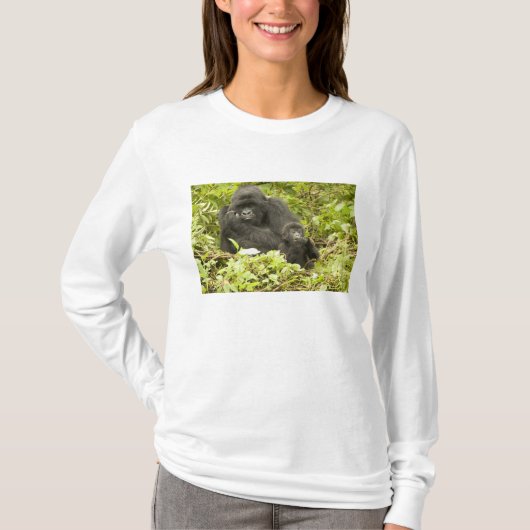 Gorilla, Gorilla beringei (ehemals G. T-Shirt (Vorderseite)