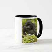 Gorilla, Gorilla beringei (ehemals G. Tasse (VorderseiteRechts)