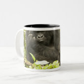 Gorilla, Gorilla beringei (ehemals G. Zweifarbige Tasse (Vorderseite Links)