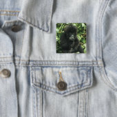 Gorilla (Gorilla gorilla beringei) Button (Beispiel)