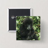 Gorilla (Gorilla gorilla beringei) Button (Vorne & Hinten)