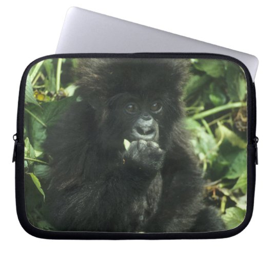Gorilla (Gorilla gorilla beringei) Laptopschutzhülle (Vorderseite)
