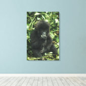 Gorilla (Gorilla gorilla beringei) Leinwanddruck (Insitu (Holzboden))